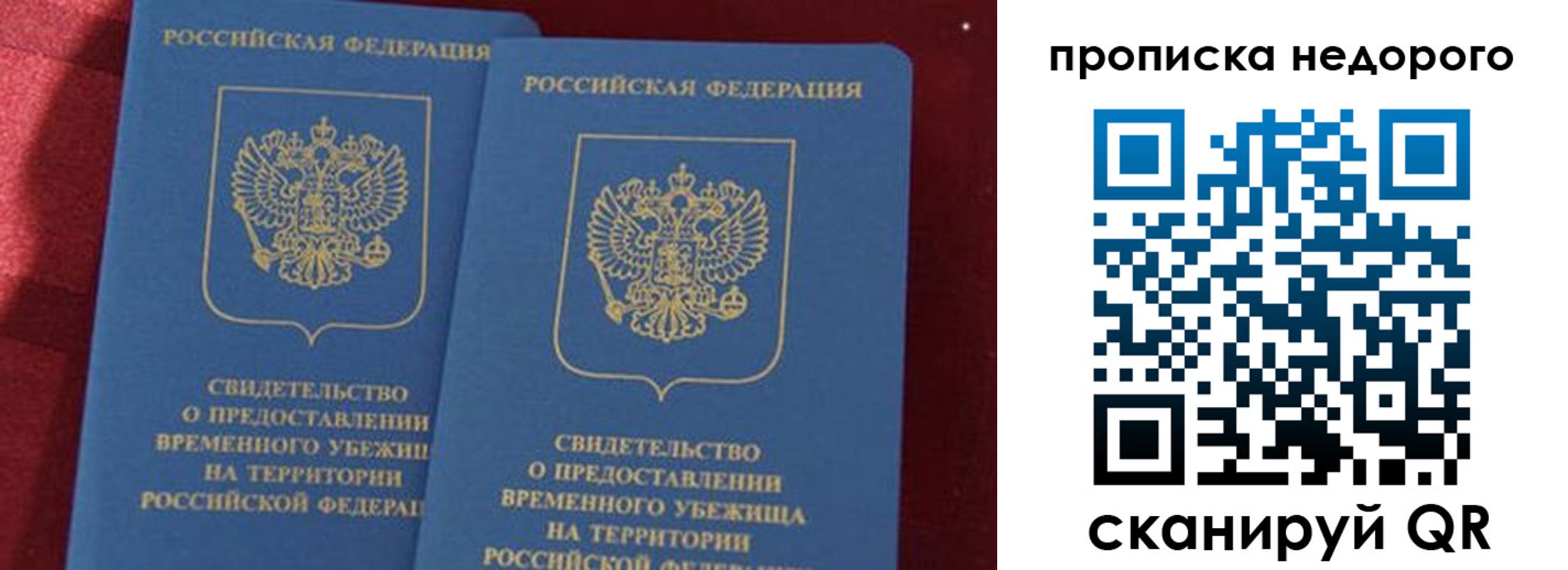 прописка гарантия в Кольчугино